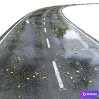 Wet road with markings. Autumn 3D Model Vray, Corona