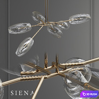 SIENA