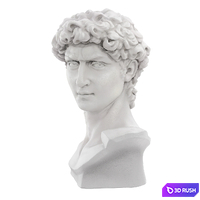 Bust of David Sculpture 3D Model Vray