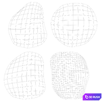 Rock Paper Edge Rugs 3D Model Vray