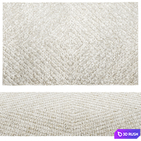 Carpet SAFAVIEH 3D Model