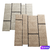 Rug Campiture 3D Model Corona