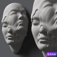 Remembrance 3D Model Vray