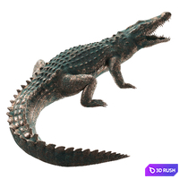 Crocodile 3D Model Vray