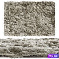 Ocean Shag Collection Safavieh (2 colors) 3D Model Corona