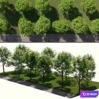 Landscape toolkit_ street 3D Model Corona