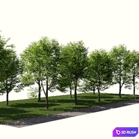 Landscape toolkit_ street 3D Model Corona