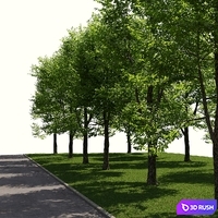Landscape toolkit_ street 3D Model Corona