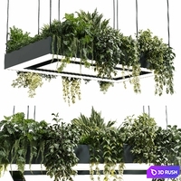 Rectangle pot light pendant - plant light hanging - indoor plant 22 corona 3D Model Vray, Corona