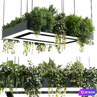 Rectangle pot light pendant - plant light hanging - indoor plant 22 corona 3D Model Vray, Corona