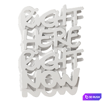 Three-dimensional inscription "Right Here Right Now" on the wall 3D Model Vray, Corona