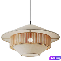 Stevie Mixed Woven Pendant 3D Model Corona
