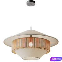 Stevie Mixed Woven Pendant 3D Model Corona