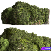 Moss on Stones 08 3D Model Vray, Corona