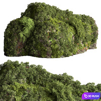 Moss on Stones 08 3D Model Vray, Corona
