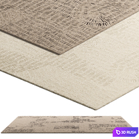 Poliform Trace Rectangular Rug (2 colors) 3D Model Corona