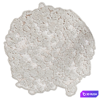 Sophie Dries Meteor Rug 3D Model Corona