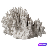 Regina Andrew White Resin Coral Decorative Sculpture 3D Model Corona