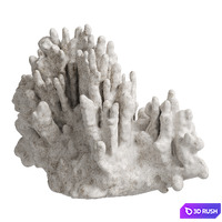 Regina Andrew White Resin Coral Decorative Sculpture 3D Model Corona