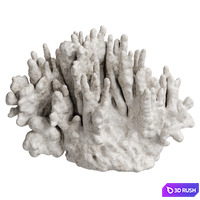 Regina Andrew White Resin Coral Decorative Sculpture 3D Model Corona