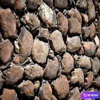 Masonry 3D Model Corona