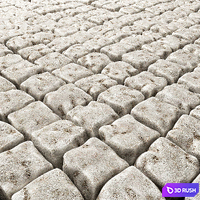 The old square pavers 3D Model Vray