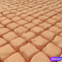 The old square pavers 3D Model Vray