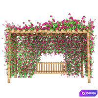 Bougainvillea garden
