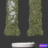 Leaves on a Doric column. 4 models 3D Model Vray, Corona