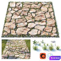 Decorative grass path 3D Model Corona