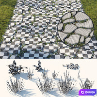 Decorative grass path 3D Model Corona