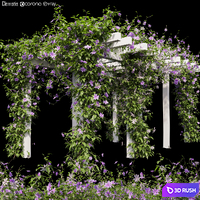 Clematis 03 3D Model Vray, Corona