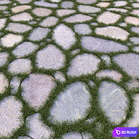 Garden floor 3D Model Corona