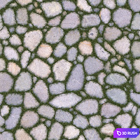 Garden floor 3D Model Corona