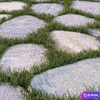 Garden floor 3D Model Corona