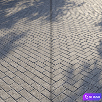 Pavement 3D Model Vray, Corona