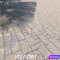 Paving Belpasso tile 00 HR 3D Model Corona