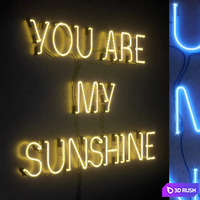 Light modules. Set 40. Neon 3D Model Vray, Corona
