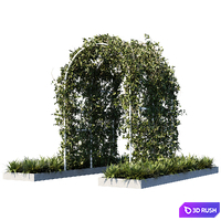 Outdoor_plants01 3D Model Corona