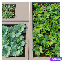 Rooftop Kitchen Garden 3D Model Corona