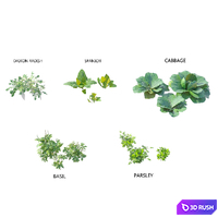 Rooftop Kitchen Garden 3D Model Corona
