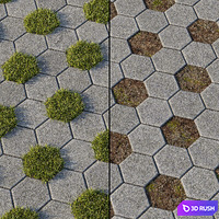 Eco-paving Type 1 Pattern 9 3D Model Corona
