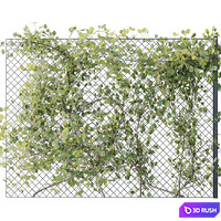 Ivy on Fence 02 3D Model Vray, Corona