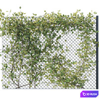 Ivy on Fence 02 3D Model Vray, Corona
