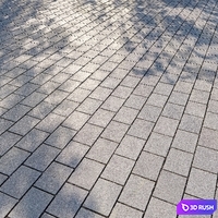 Paving slabs 3 3D Model Corona