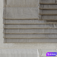 Curtain 3 3D Model Vray, Corona