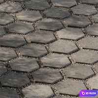 Hexagon Concrete with Gravel - Paving 07