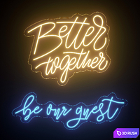 Neon 356 3D Model Vray, Corona