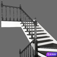 Two-staircase ladder with staggered steps, 2 version 3D Model Vray
