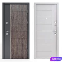 Modern entrance door 2 3D Model Corona